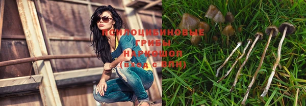 прущий лед Горно-Алтайск