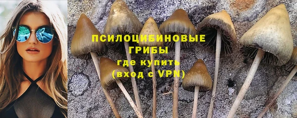 прущий лед Горно-Алтайск