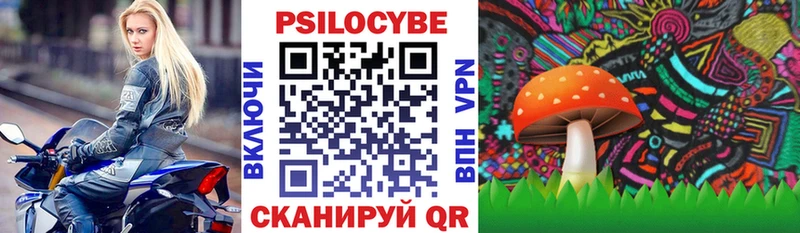 Галлюциногенные грибы Psilocybine cubensis  Пятигорск 